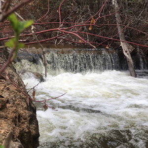 Meet your Posher, Tania